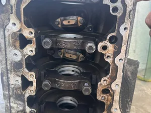 5230981055555694825